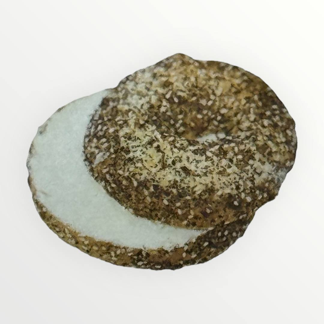 Bagel & Cream Cheese